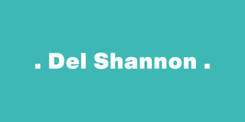 Runaway – Del Shannon：歌詞及意思
