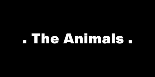 Don’t Let Me Be Misunderstood – The Animals：歌詞及意思