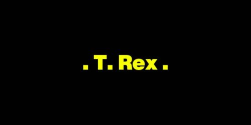 20th Century Boy – T. Rex：歌詞及意思